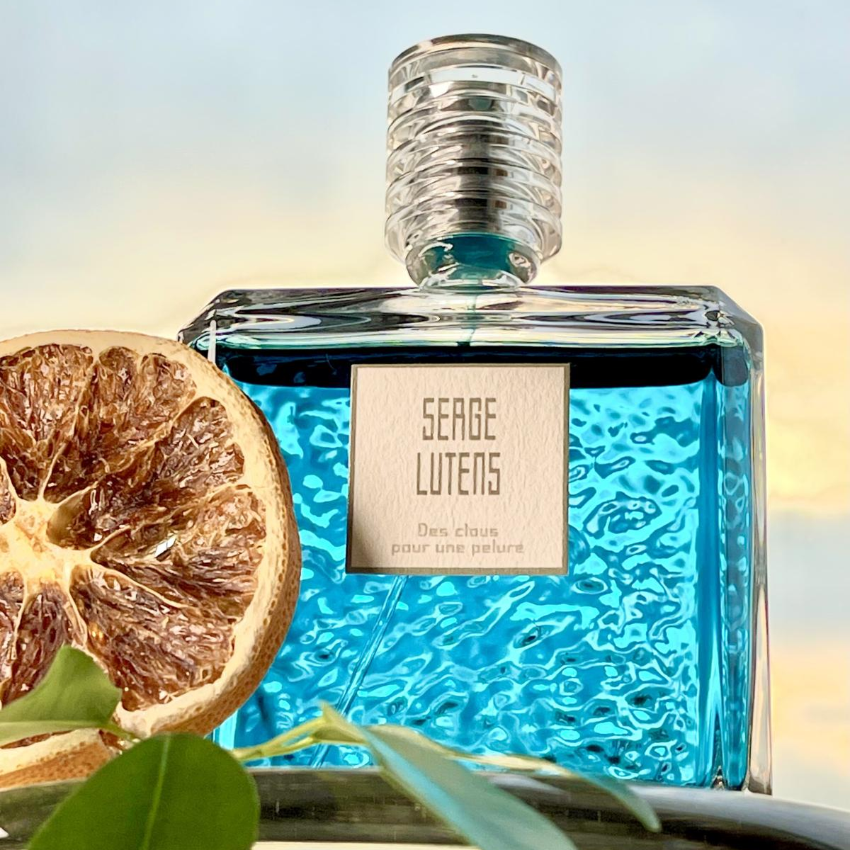 Serge Lutens Des Clous Pour Une Pelure Edp 100ml